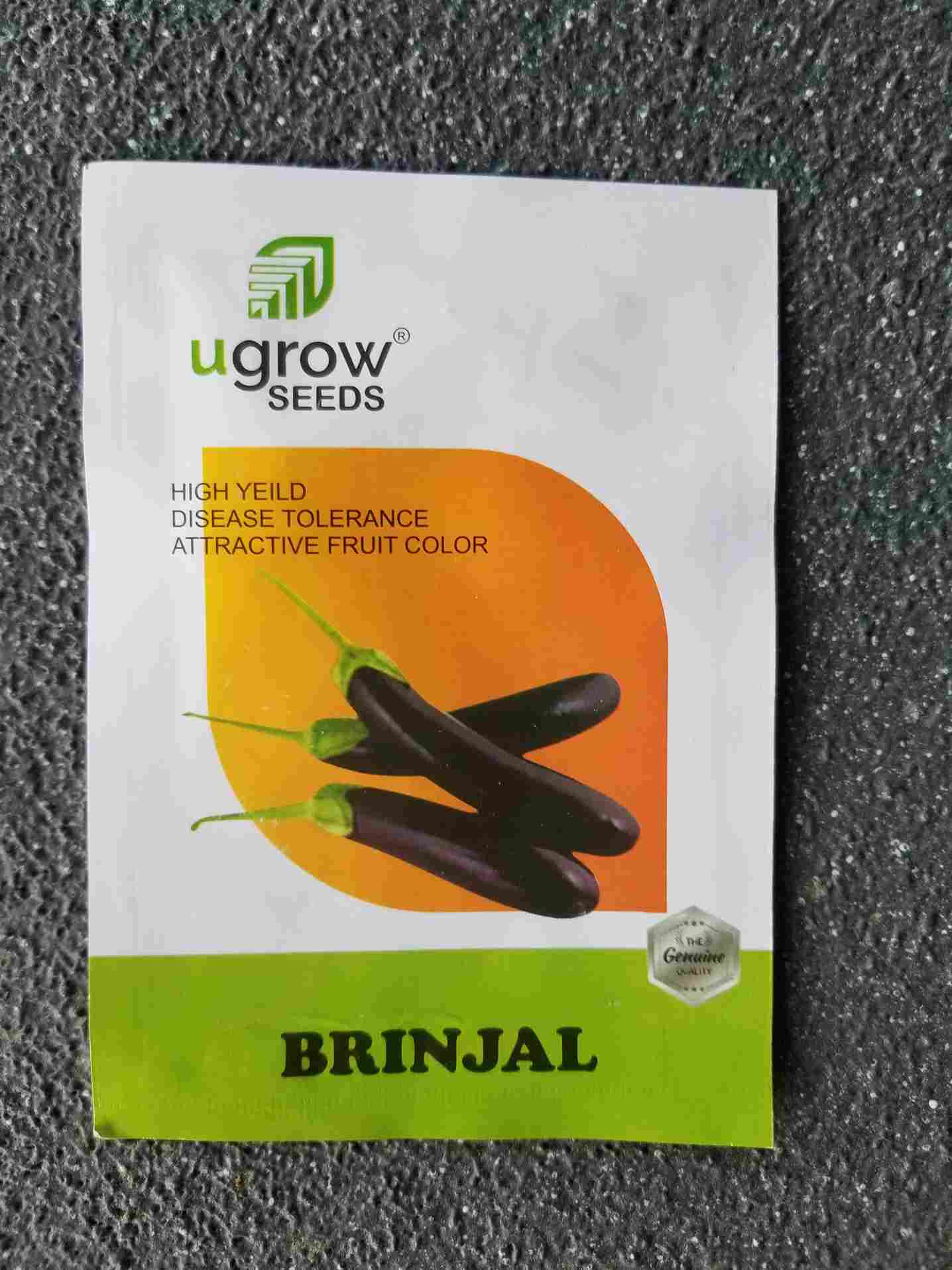 Brinjal