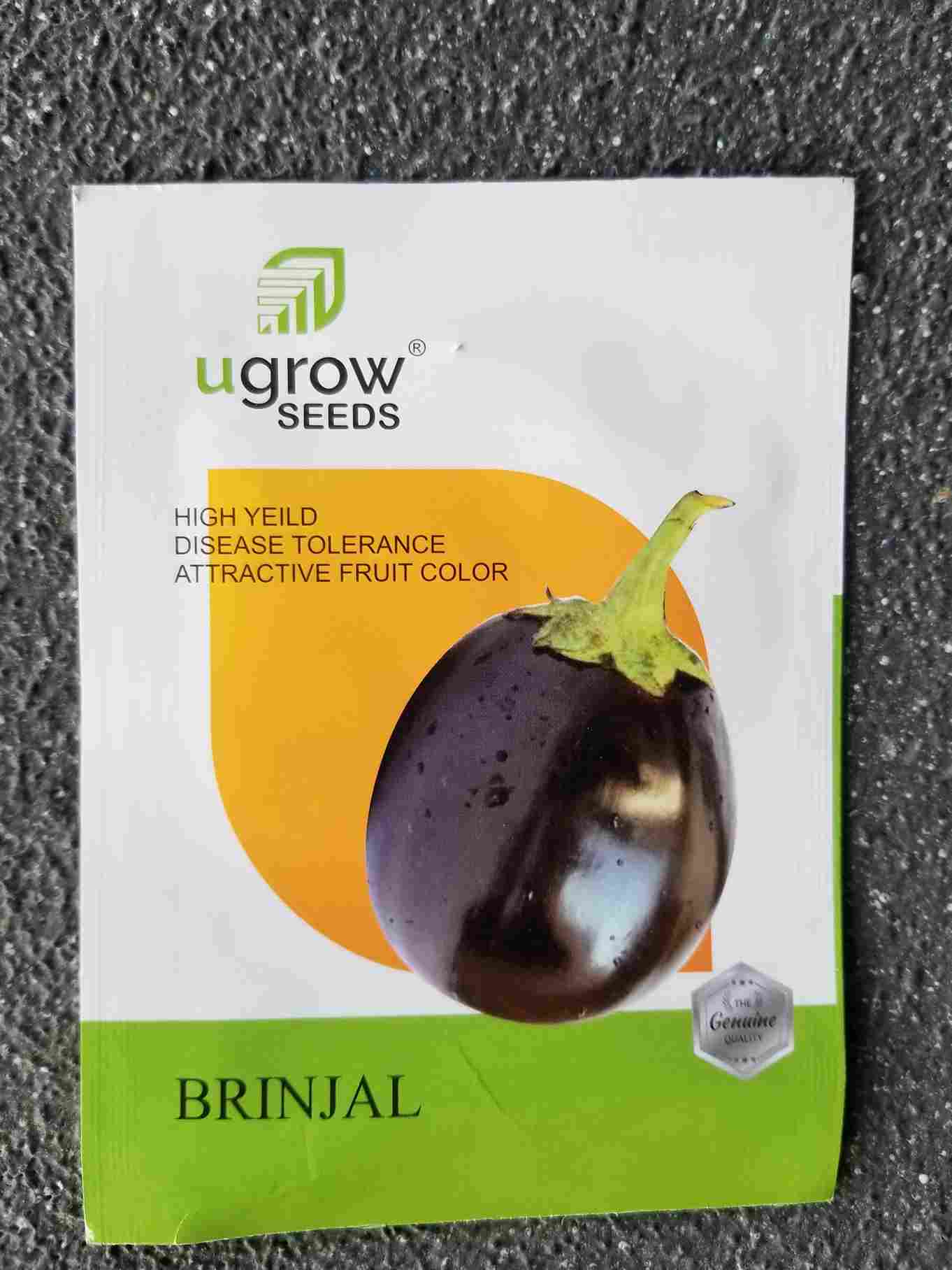 Brinjal