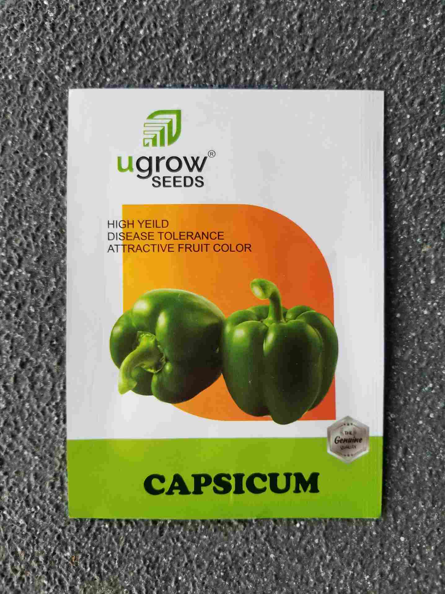 Capsicum