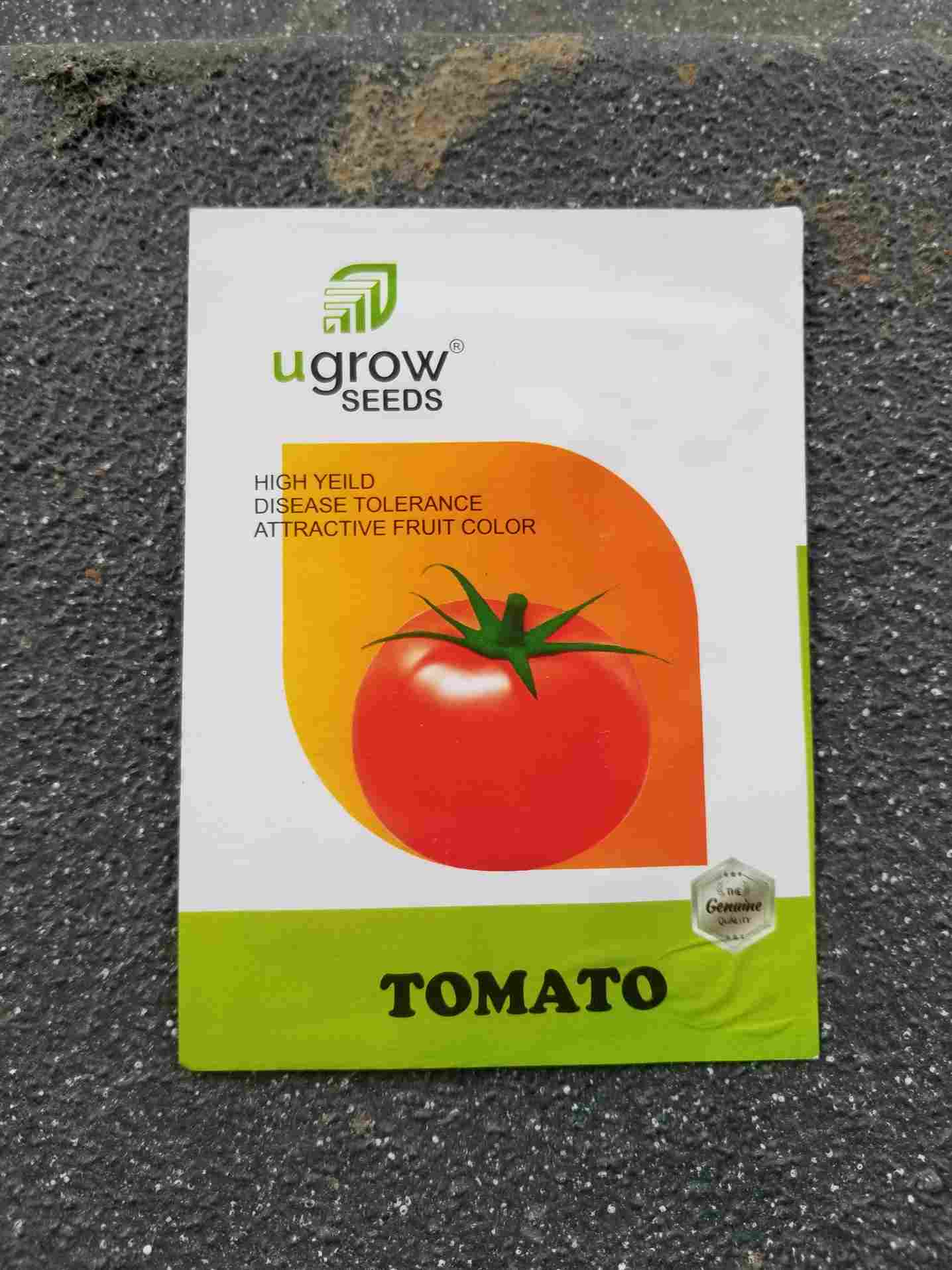 Tomato