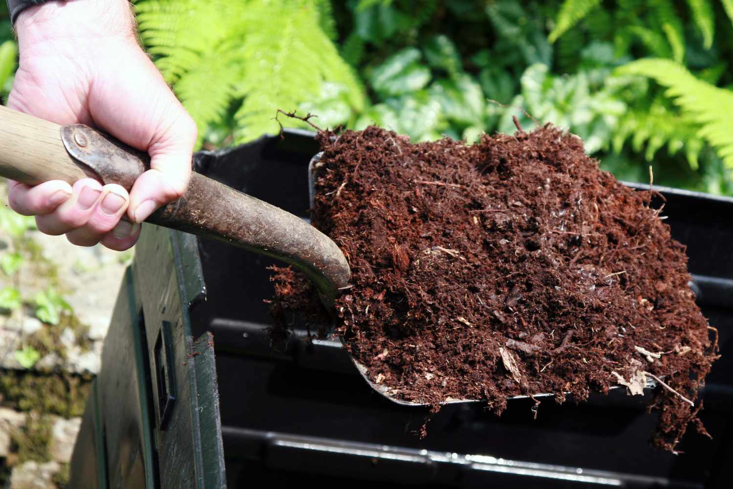 SOIL & FERTILIZER