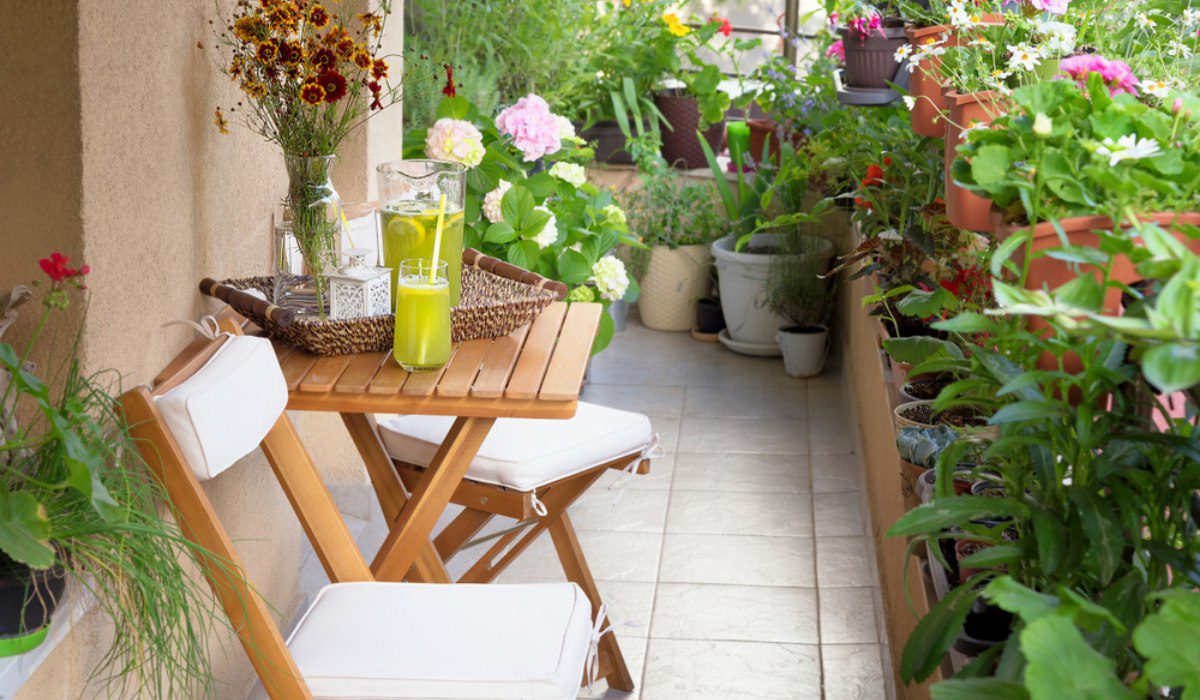 BALCONY PLANTS