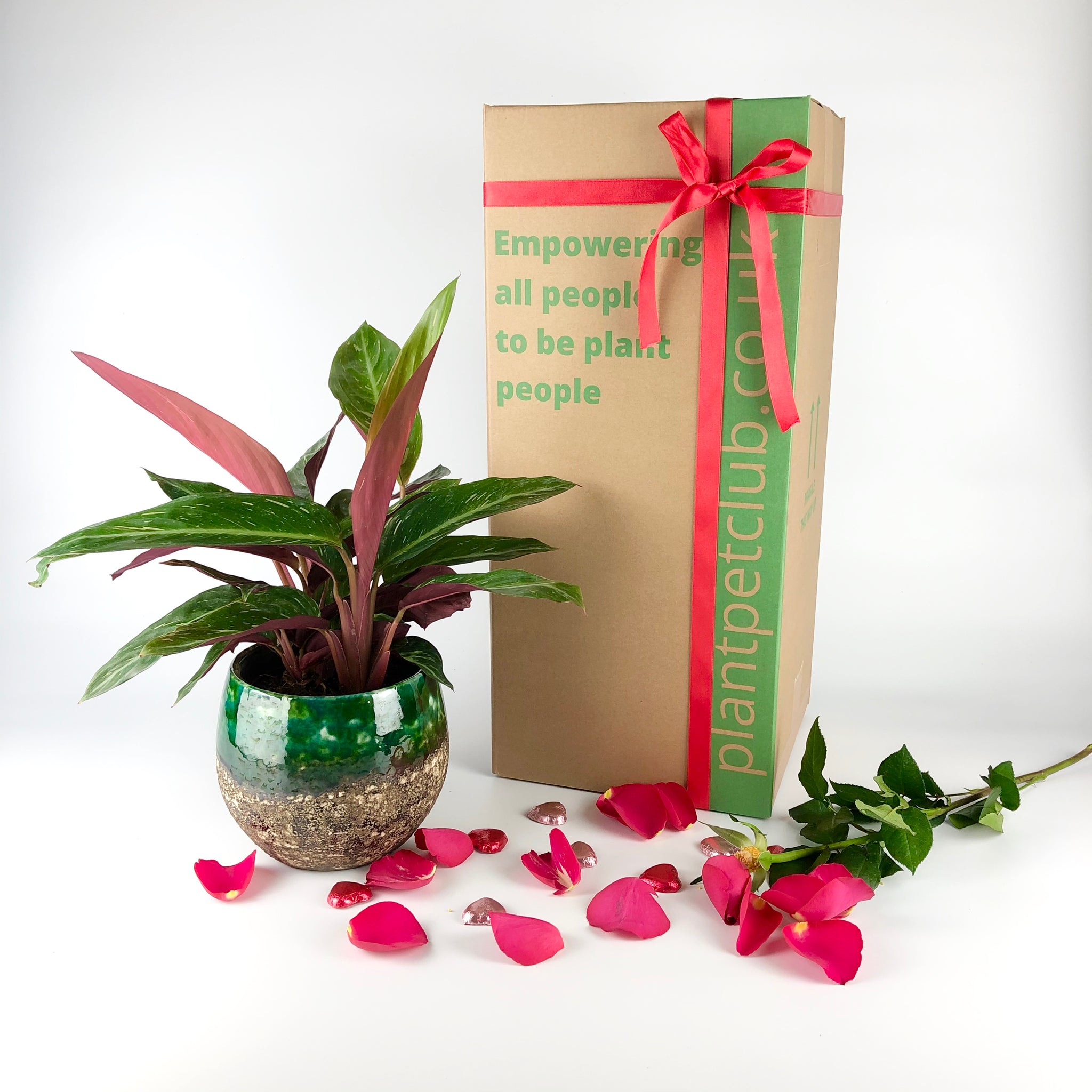 Gifting