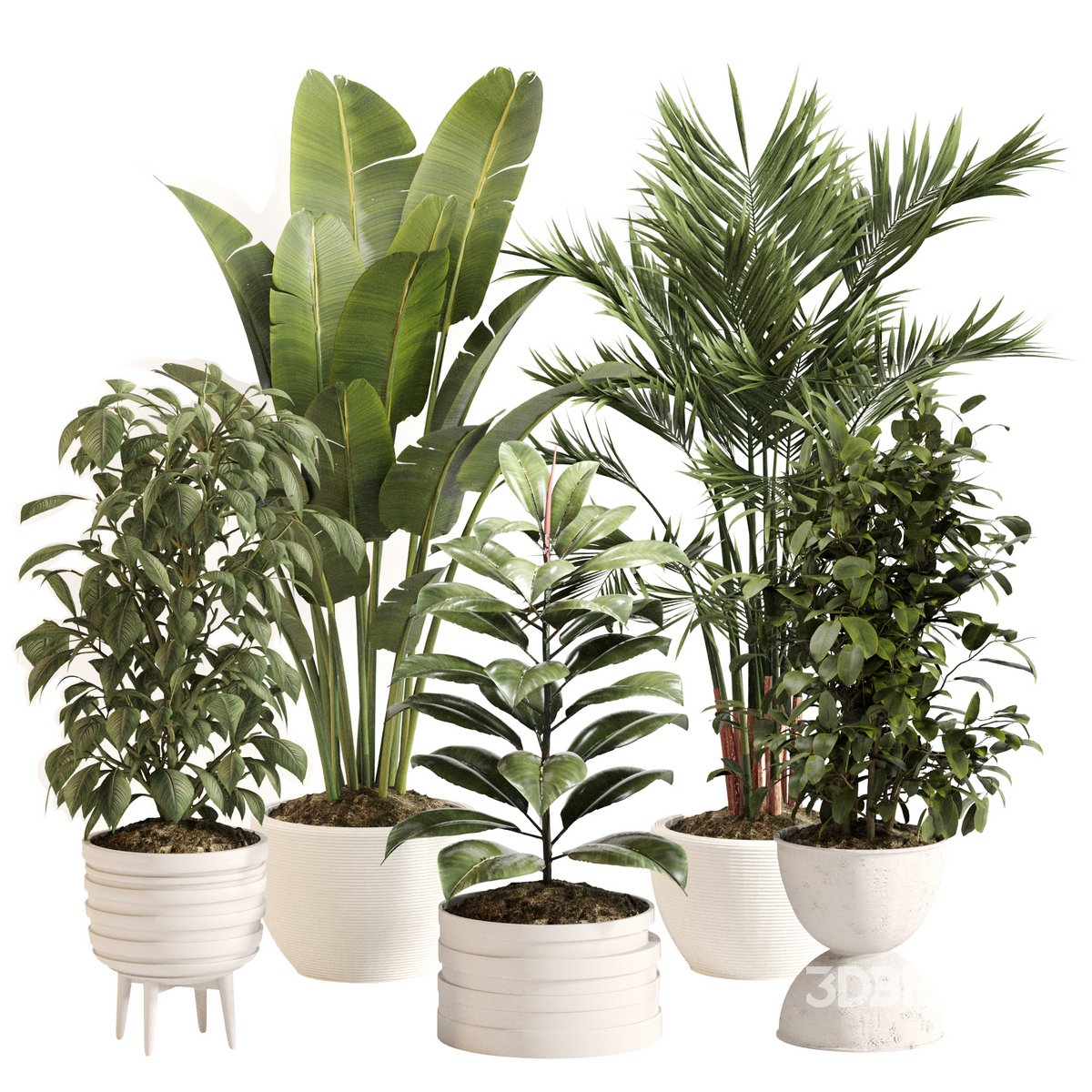 PLANTS BY LOCATIONS