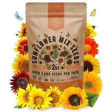 SUMMER FLOWER
