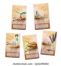 FRUIT SEEDS
