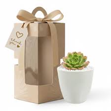 BIRTHDAY GIFT