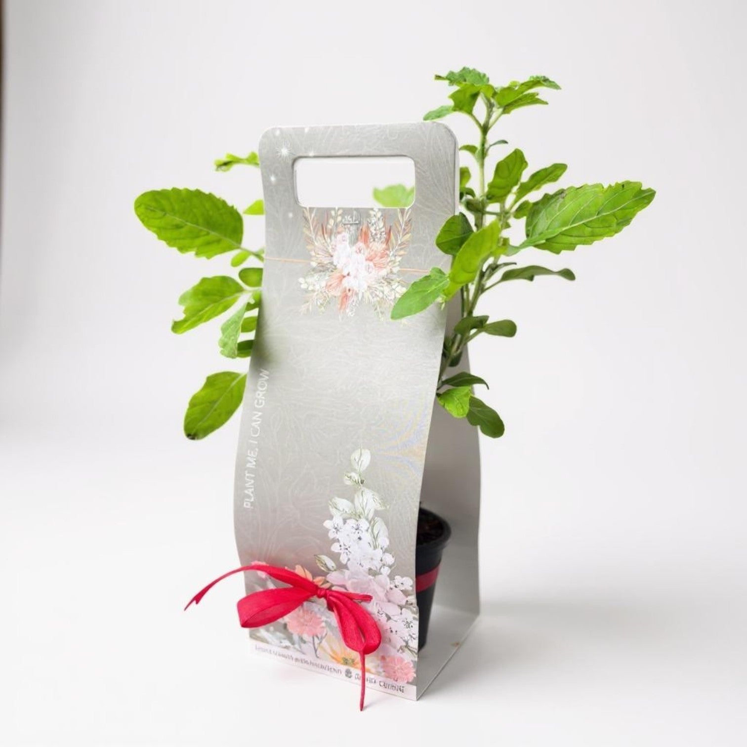 GIFT FOR SISTER