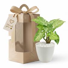 MOTHER DAY GIFT